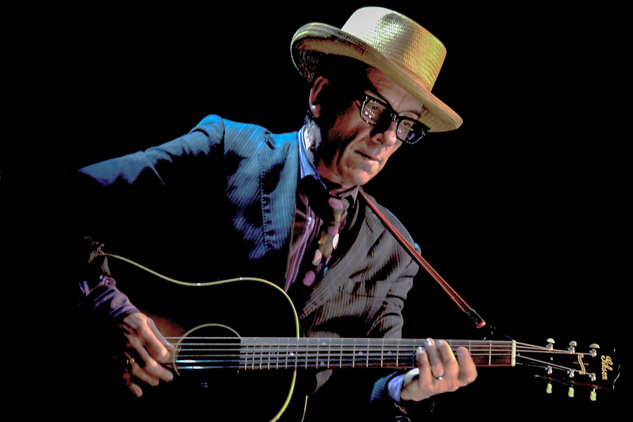 Color Photograph by Willa Stein of Elvis Costello playing guitar at Merlefest